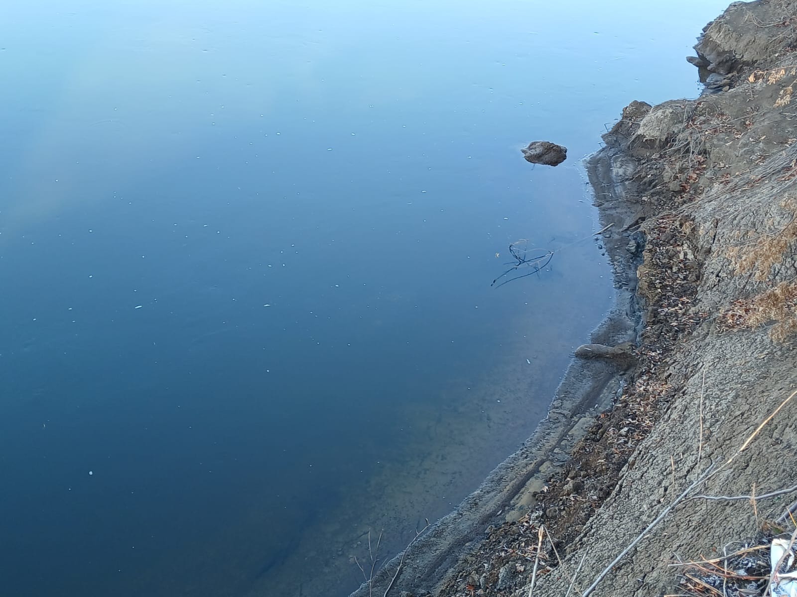 Васили Саитовой.