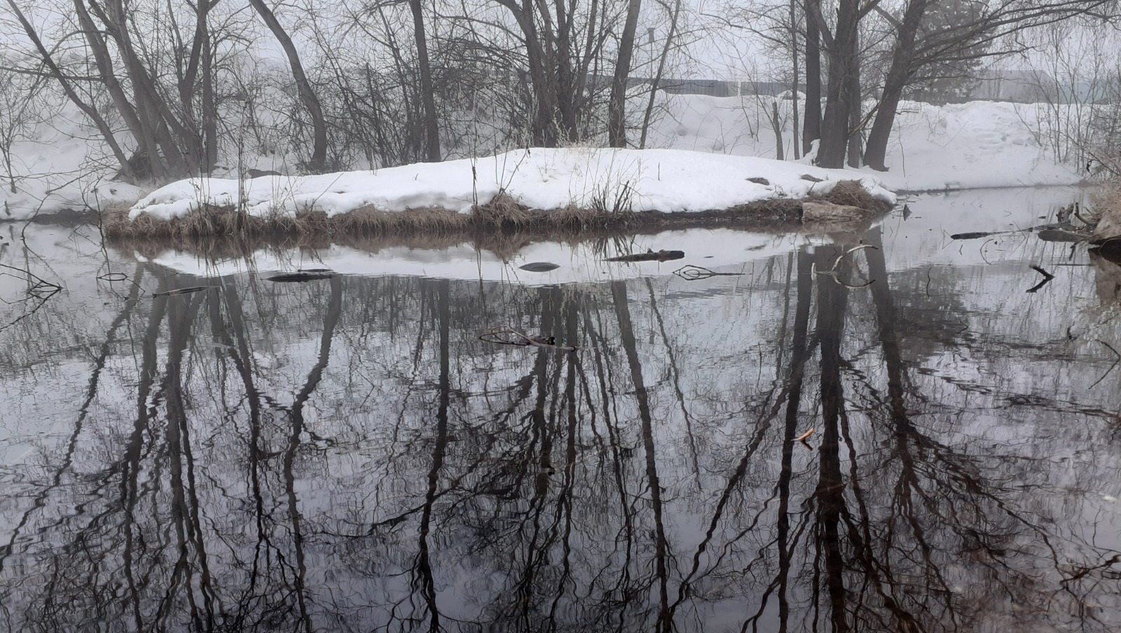 Владимира Шакиева. «Общественная электронная газета».