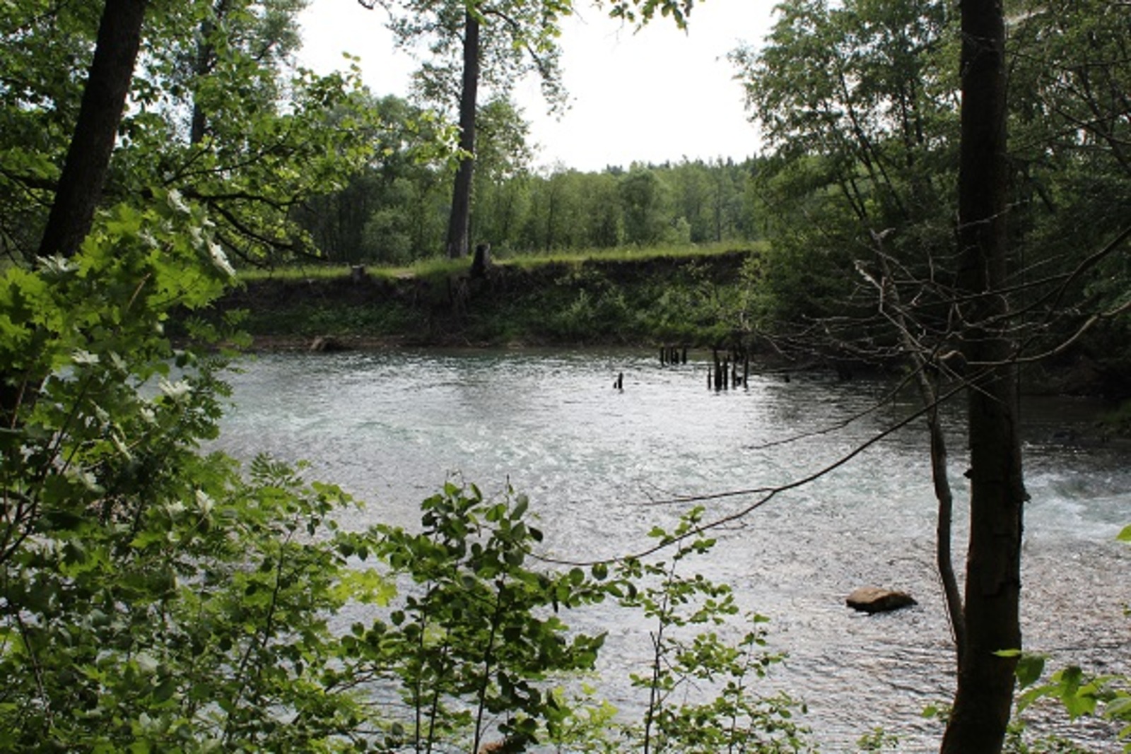 Фото автора.