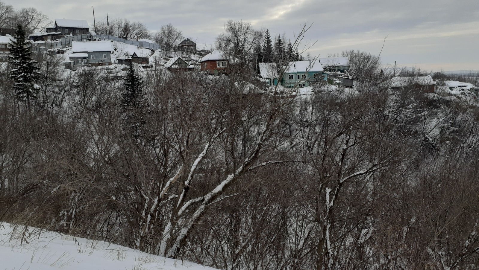 Владимира Шакиева. «Общественная электронная газета».