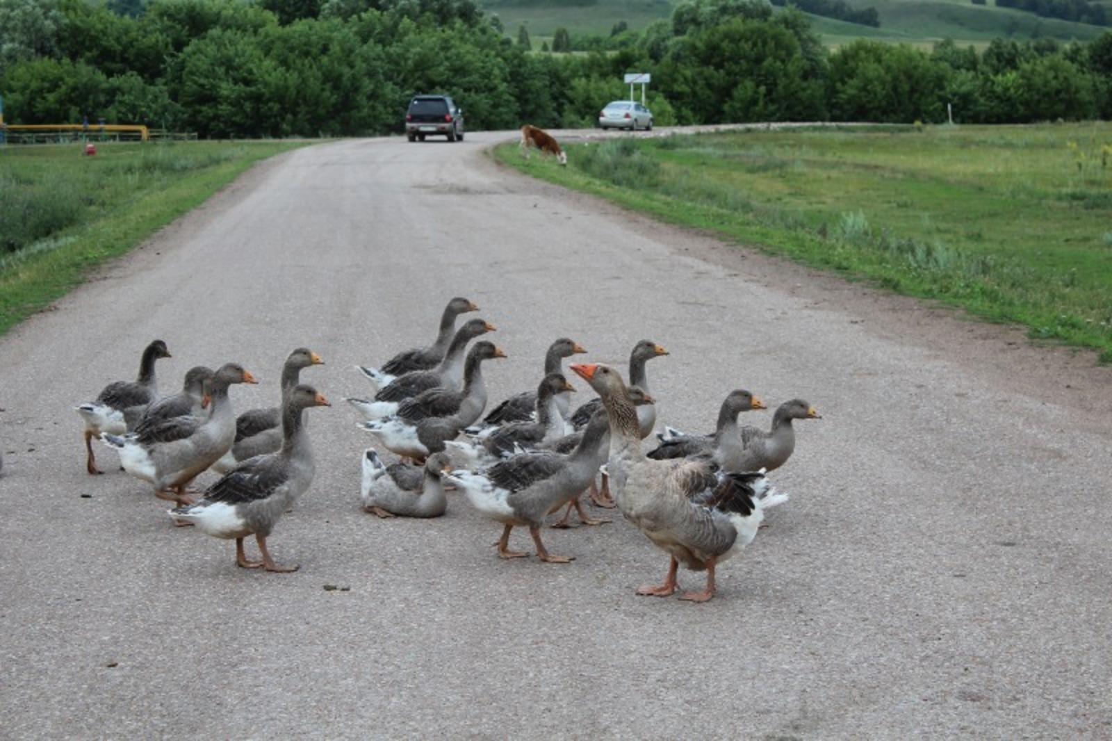 Дарьи Святохиной.