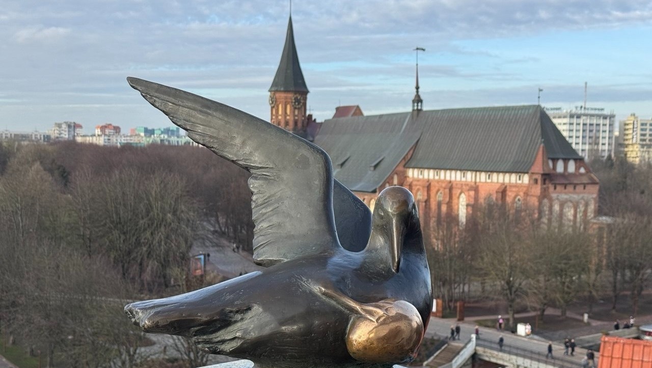 Елены Колоколовой. "Общественная электронная газета".