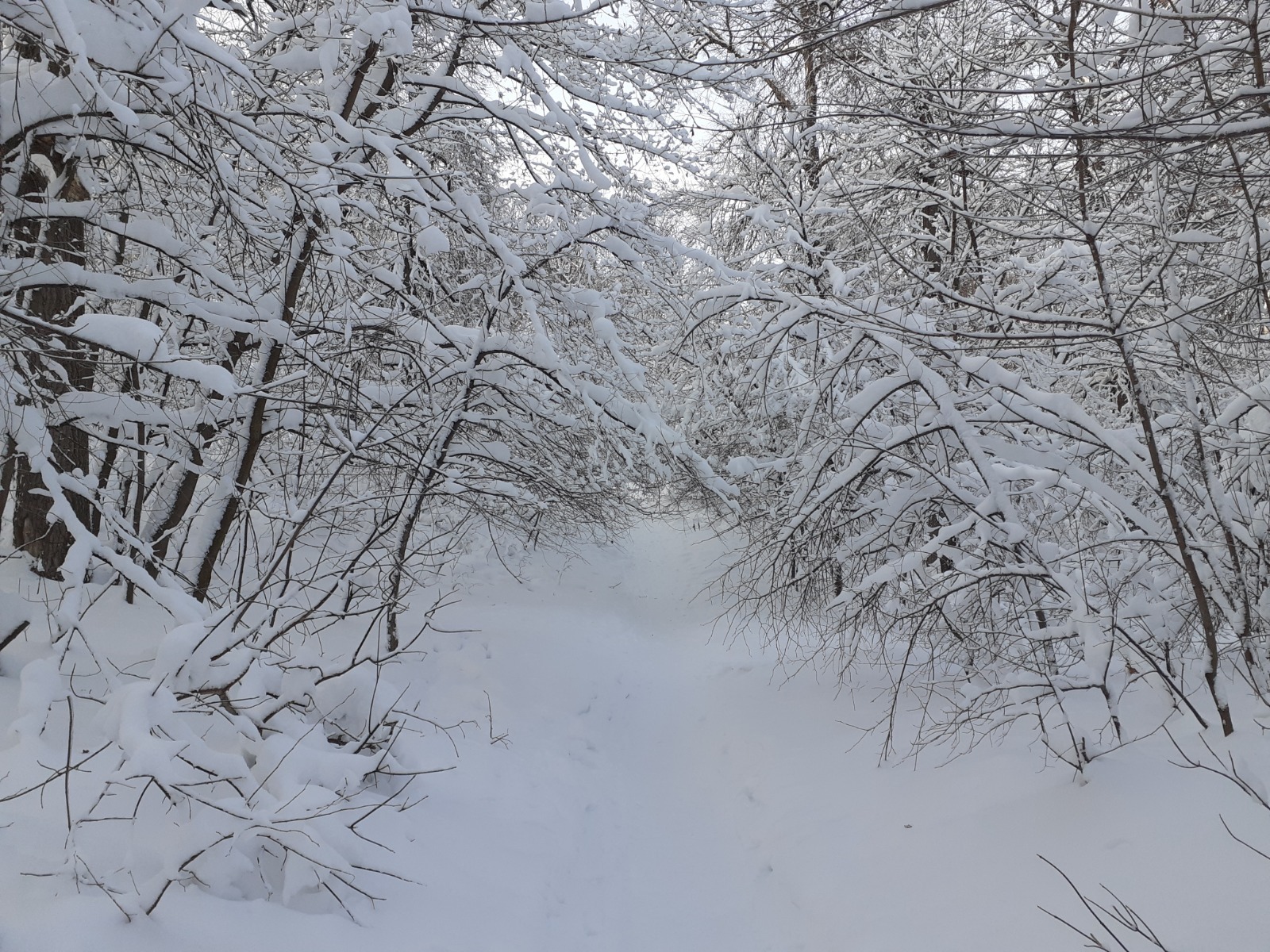 Владимира Шакиева.