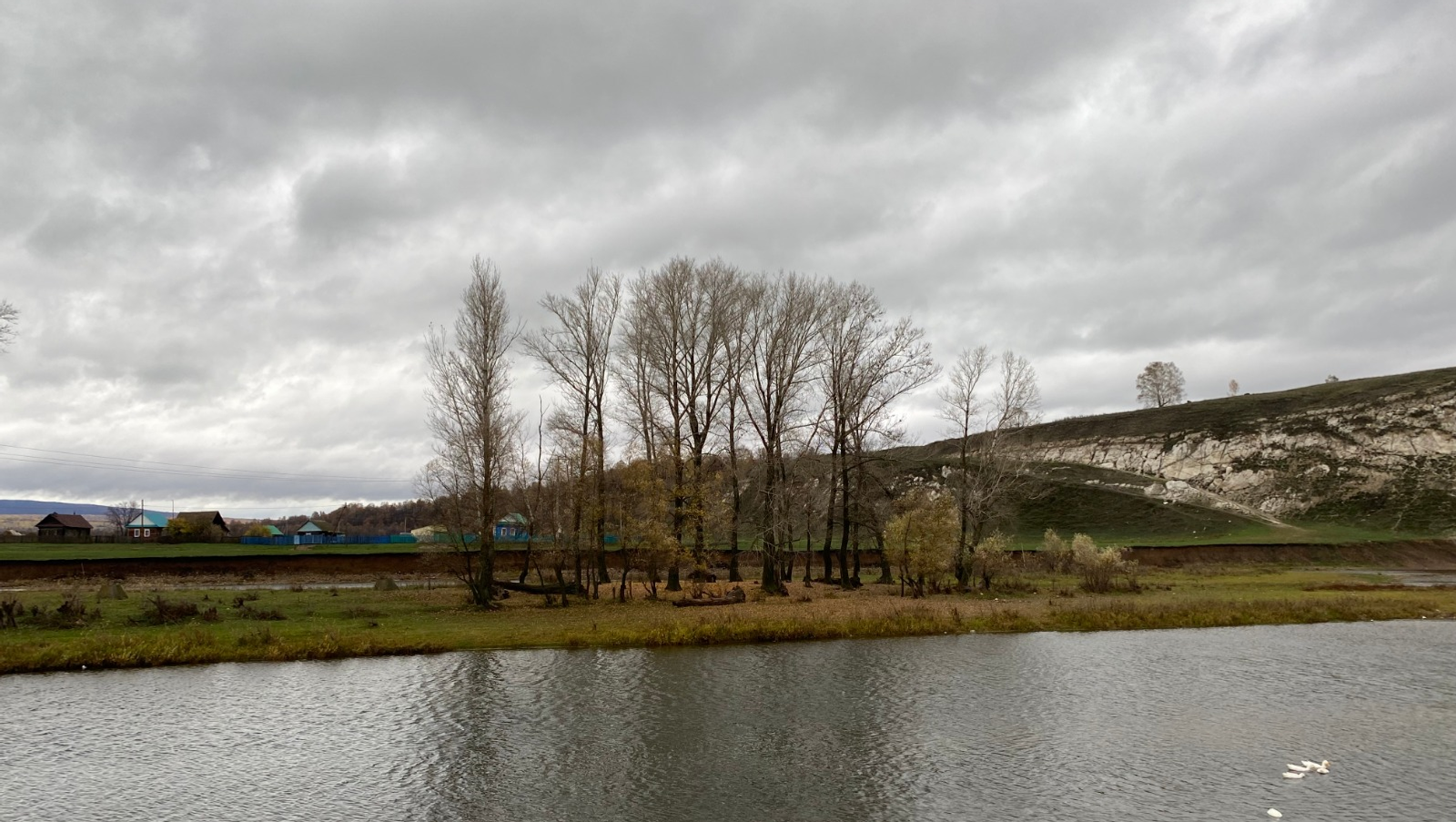 Елены Колоколовой.