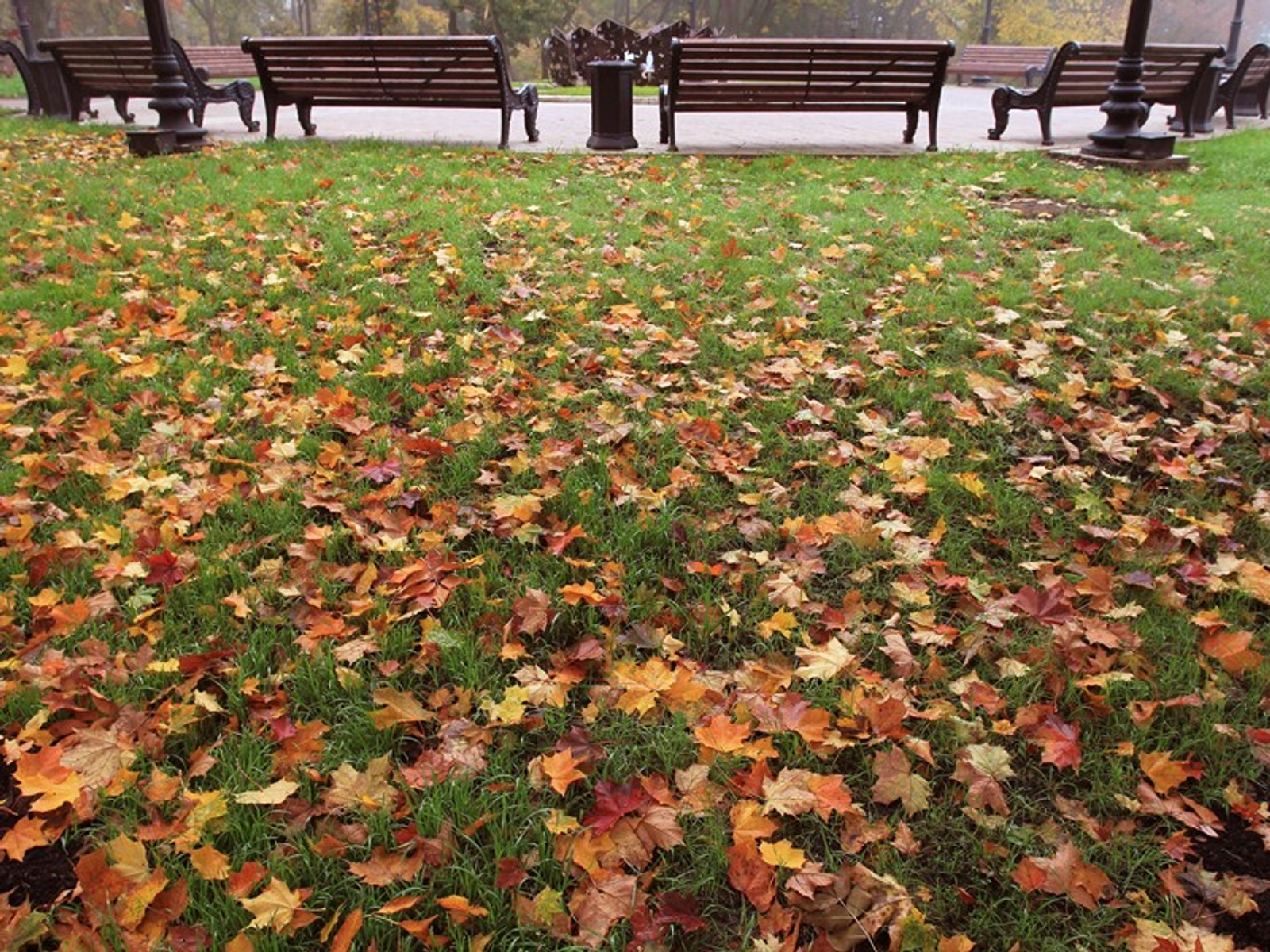 Фото Олега Яровикова.