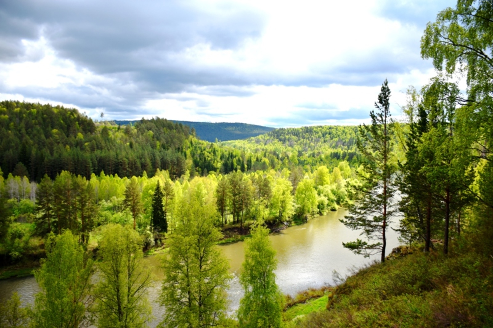 Фото автора.