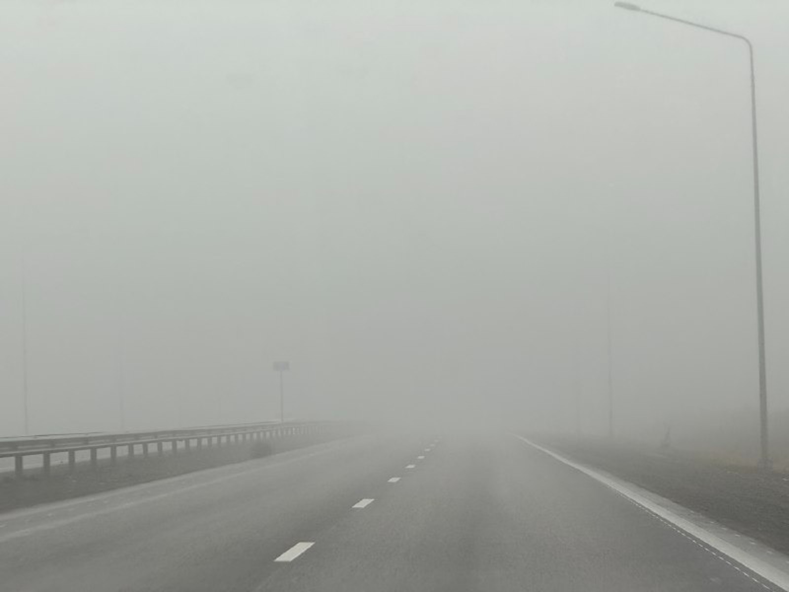 Елены Колоколовой. «Общественная электронная газета».