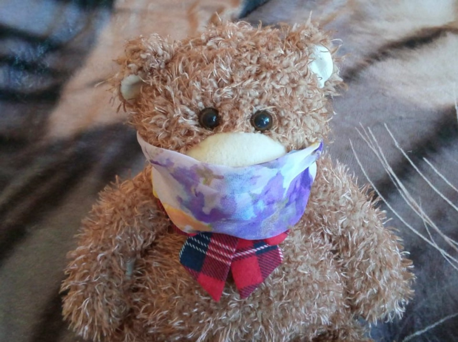 Фото Евгении Сюткиной.