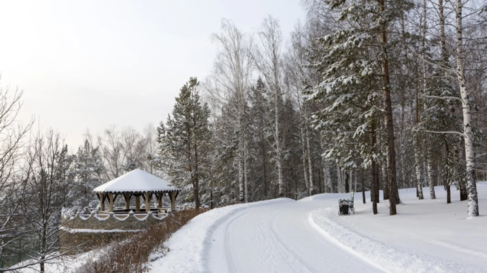 Фото Евгении Сюткиной.