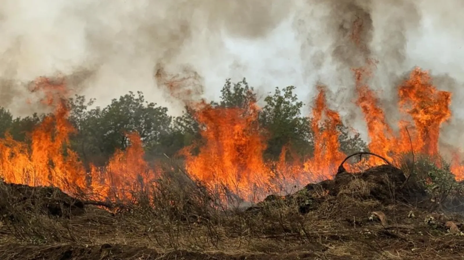 Фото предоставлено.