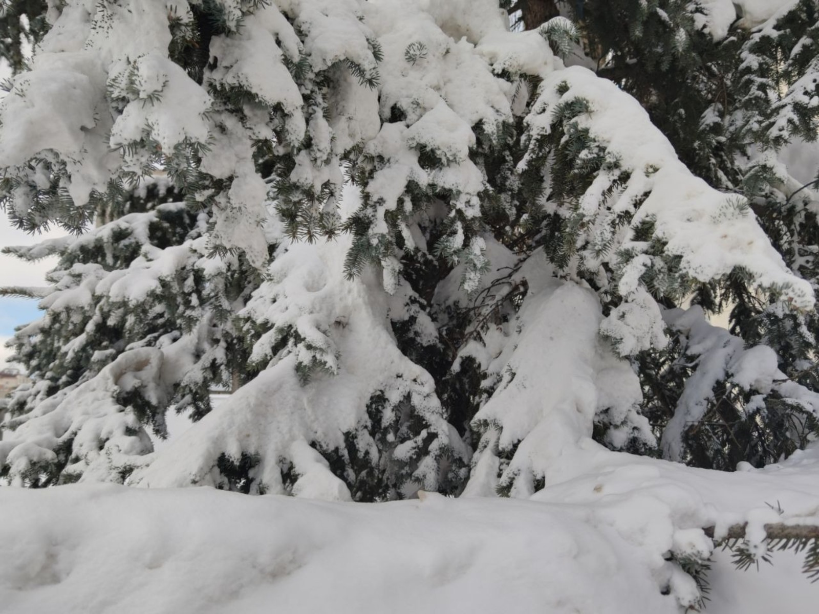 Дарьи Святохиной. «Общественная электронная газета».