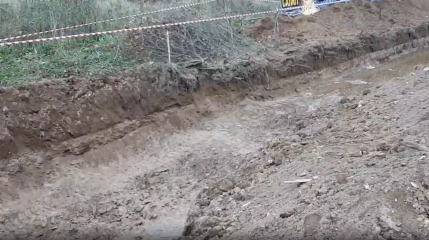 Юлии Кошкиной.