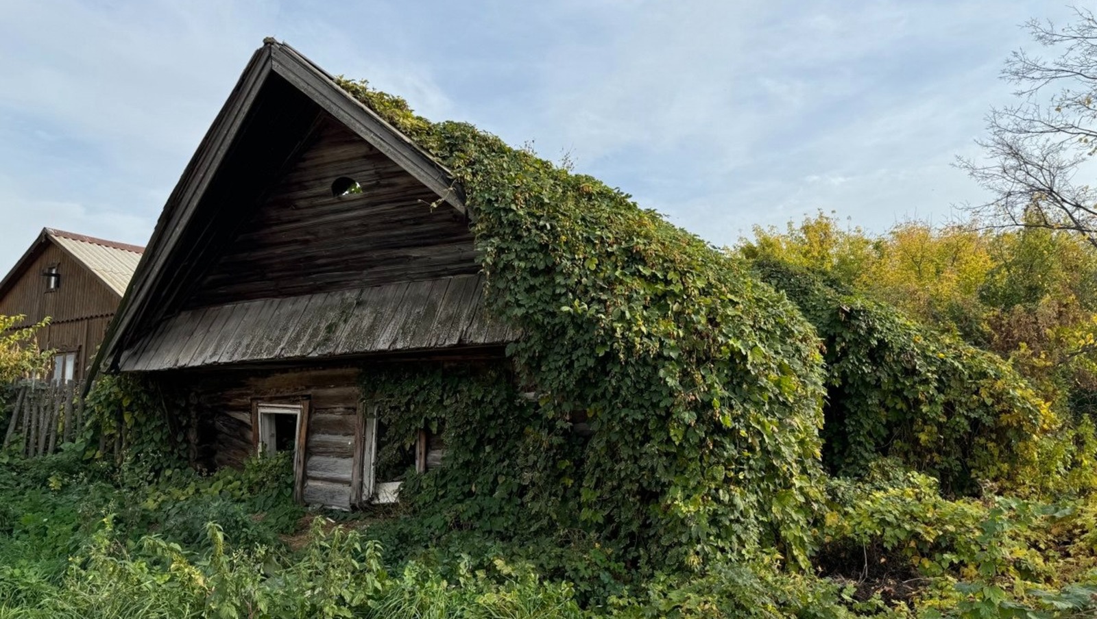 Елены Колоколовой.