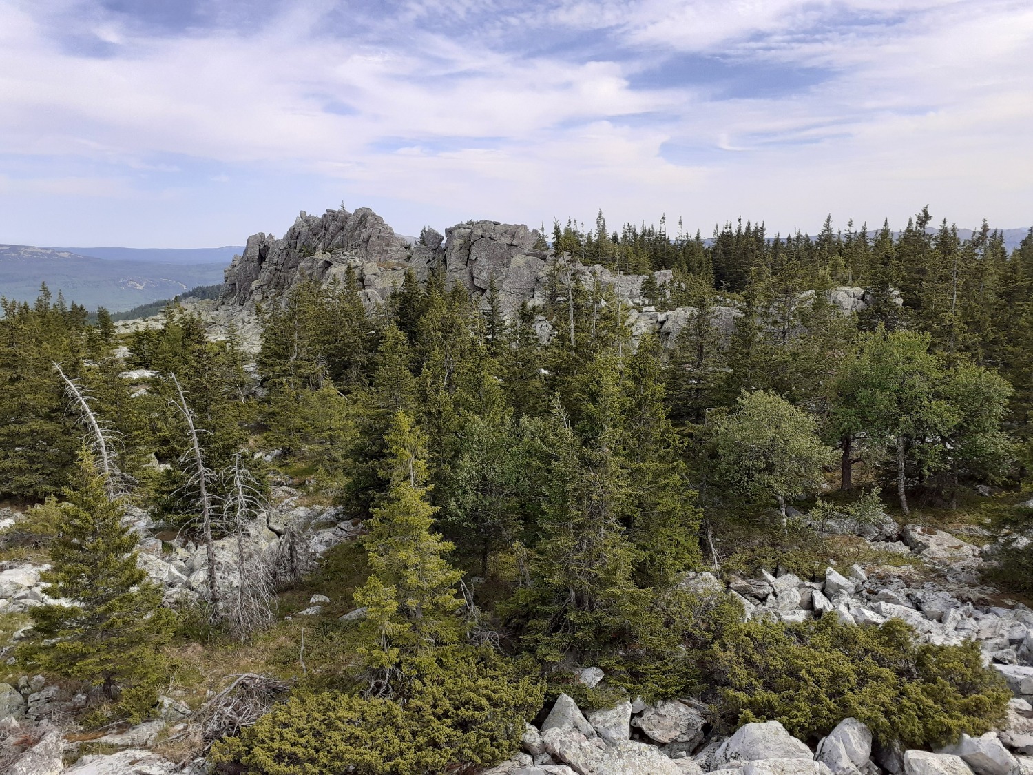 Владимира Шакиева.