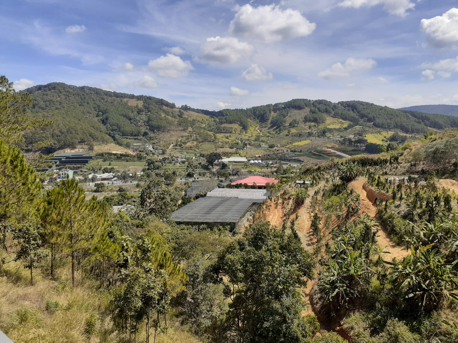 Владимира Шакиева. «Общественная электронная газета».