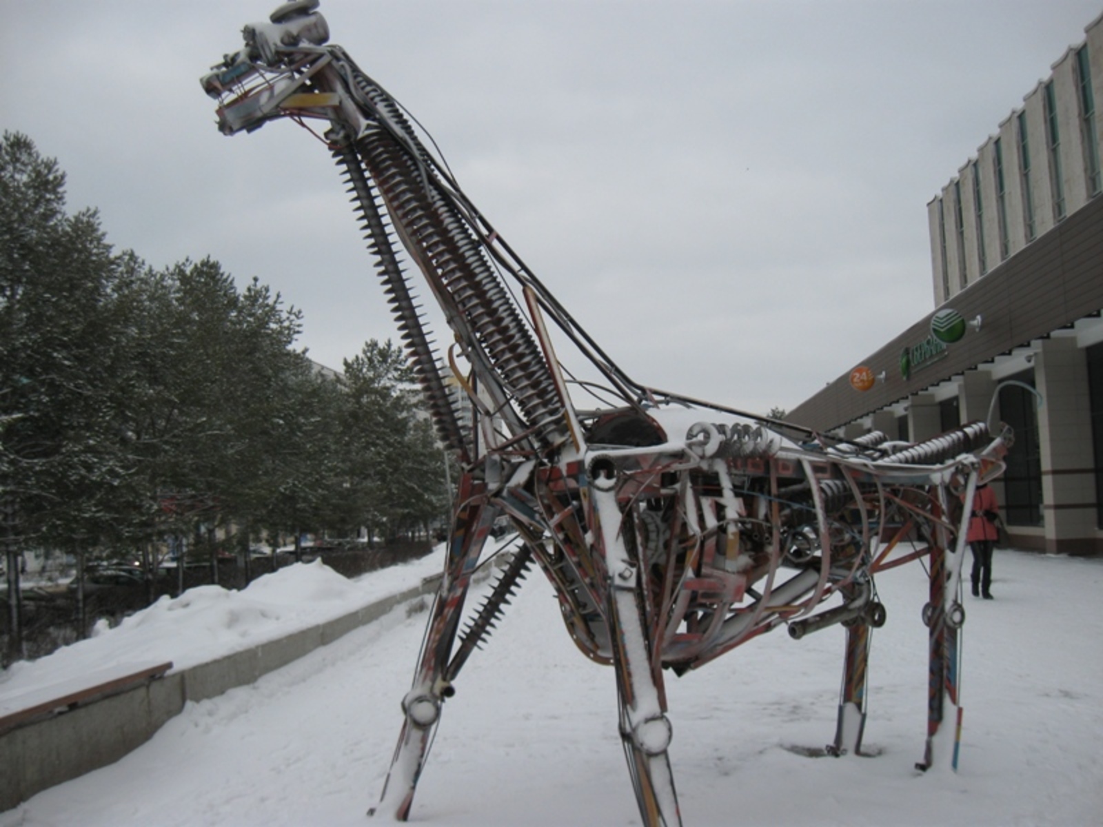 Фото автора.