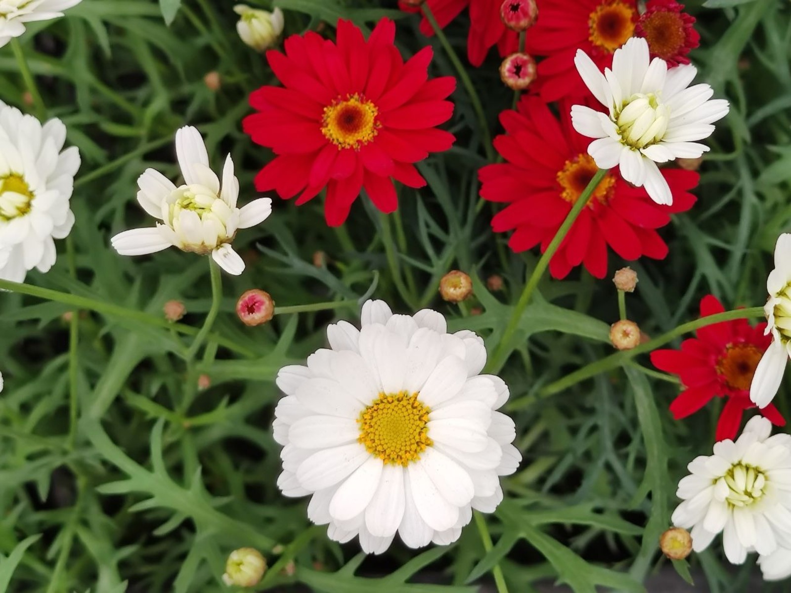 Дарьи Святохиной.