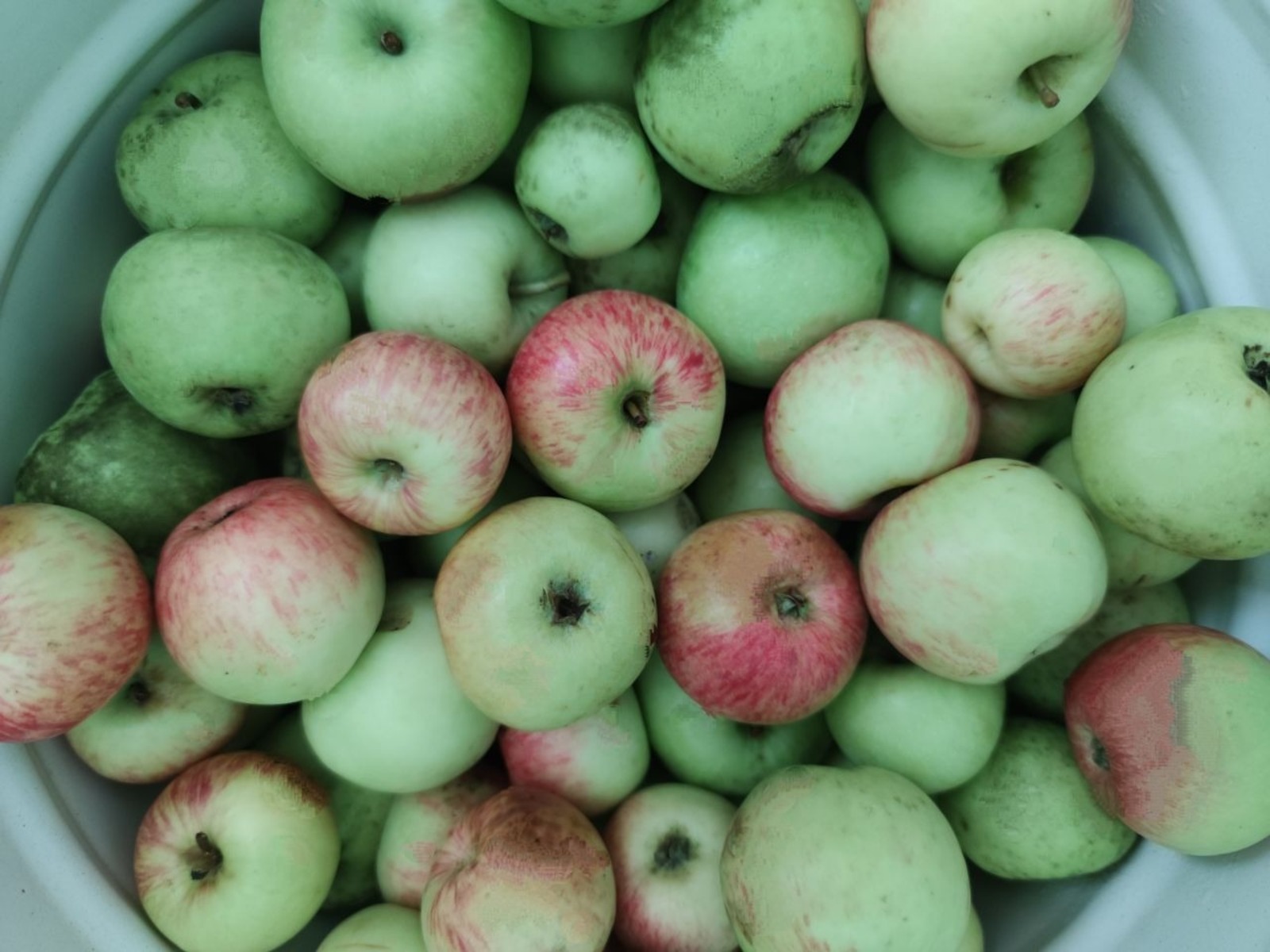 Дарьи Святохиной.