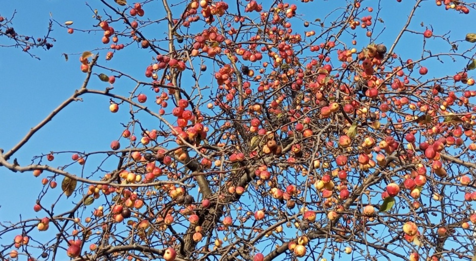 Евгении Сюткиной. "Общественная электронная газета".