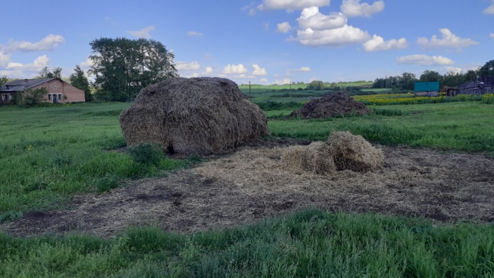 Владимира Шакиева.