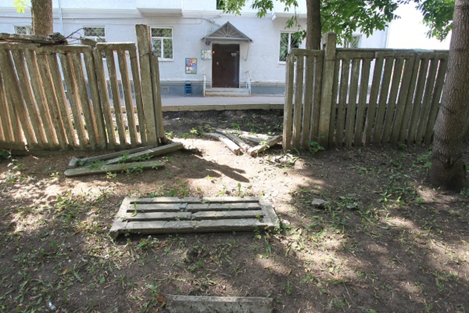 Фото Олега Яровикова.