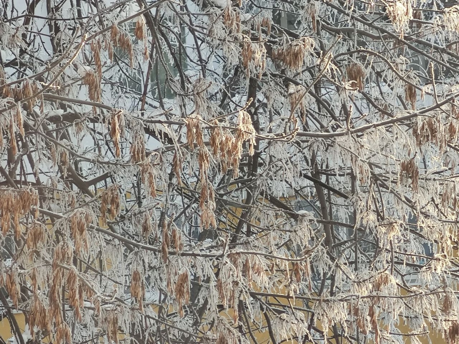 Дарьи Святохиной. «Общественная электронная газета».