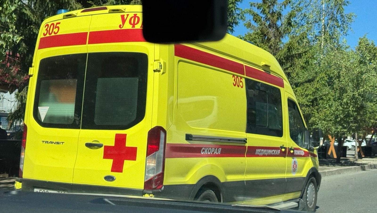 Елены Колоколовой.