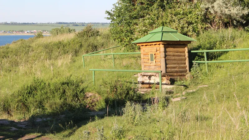 Елены Колоколовой.