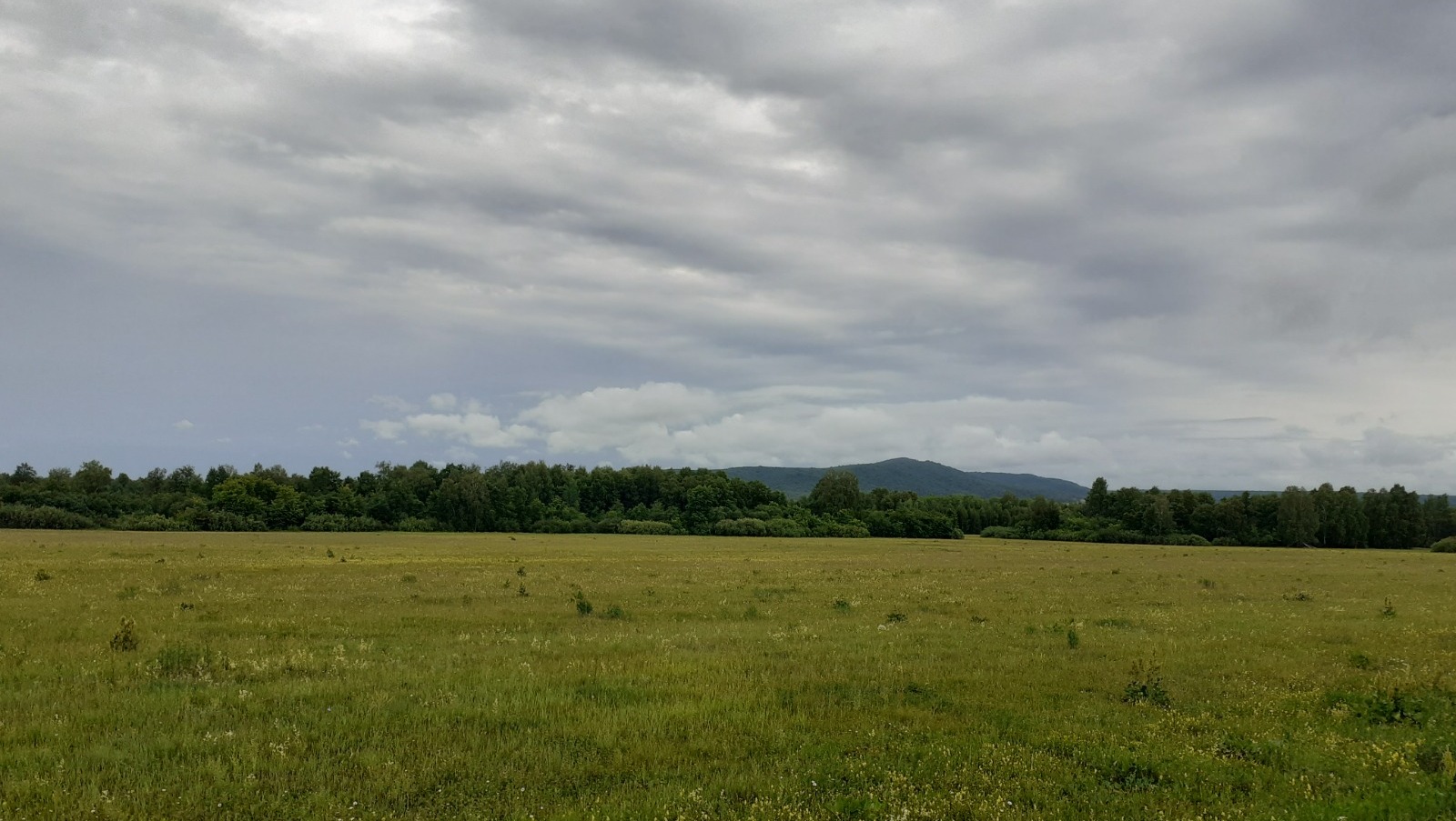 Владимира Шакиева.