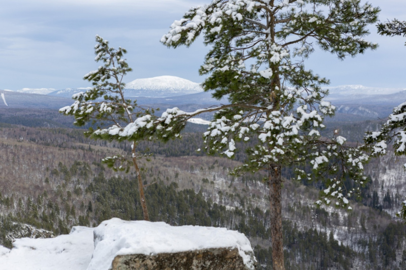 Фото Фаиля Абсатарова.