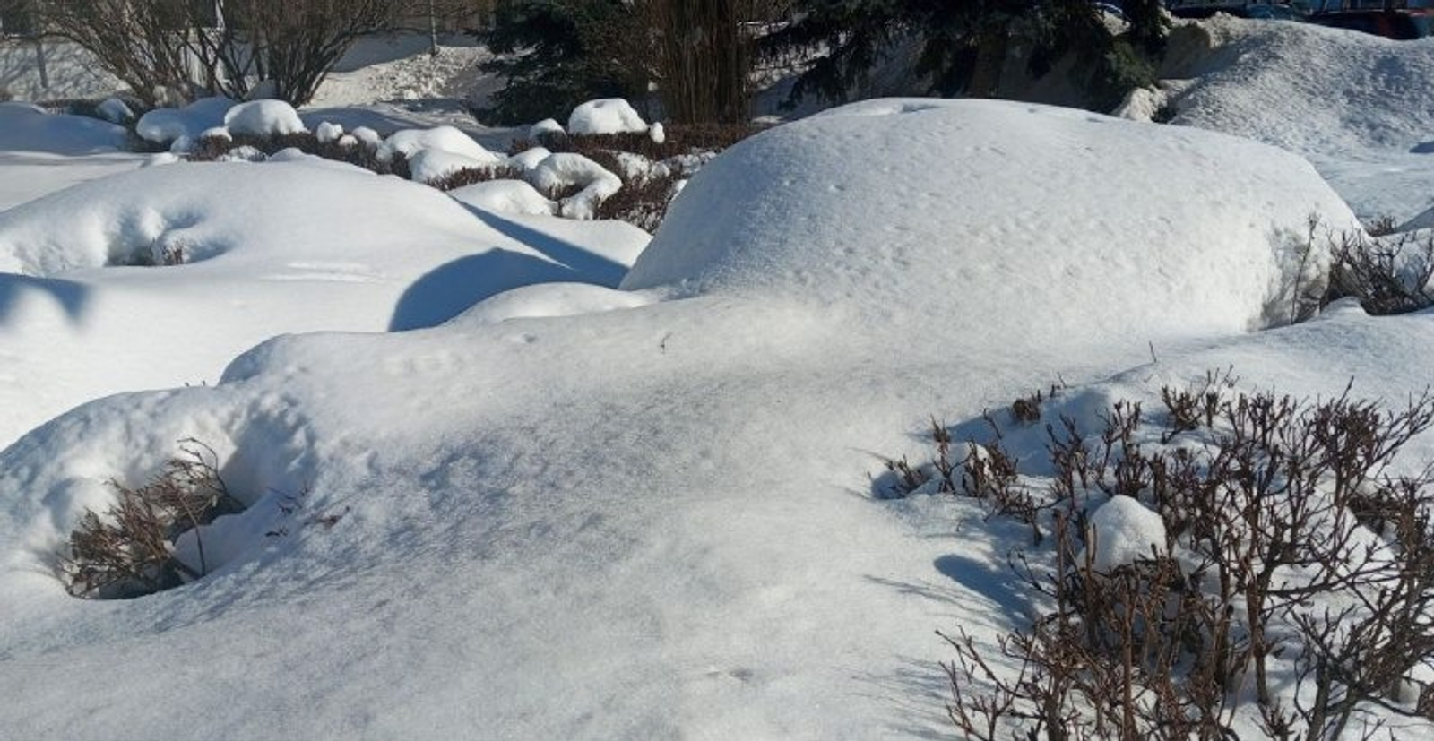 Евгении Сюткиной. «Общественная электронная газета».