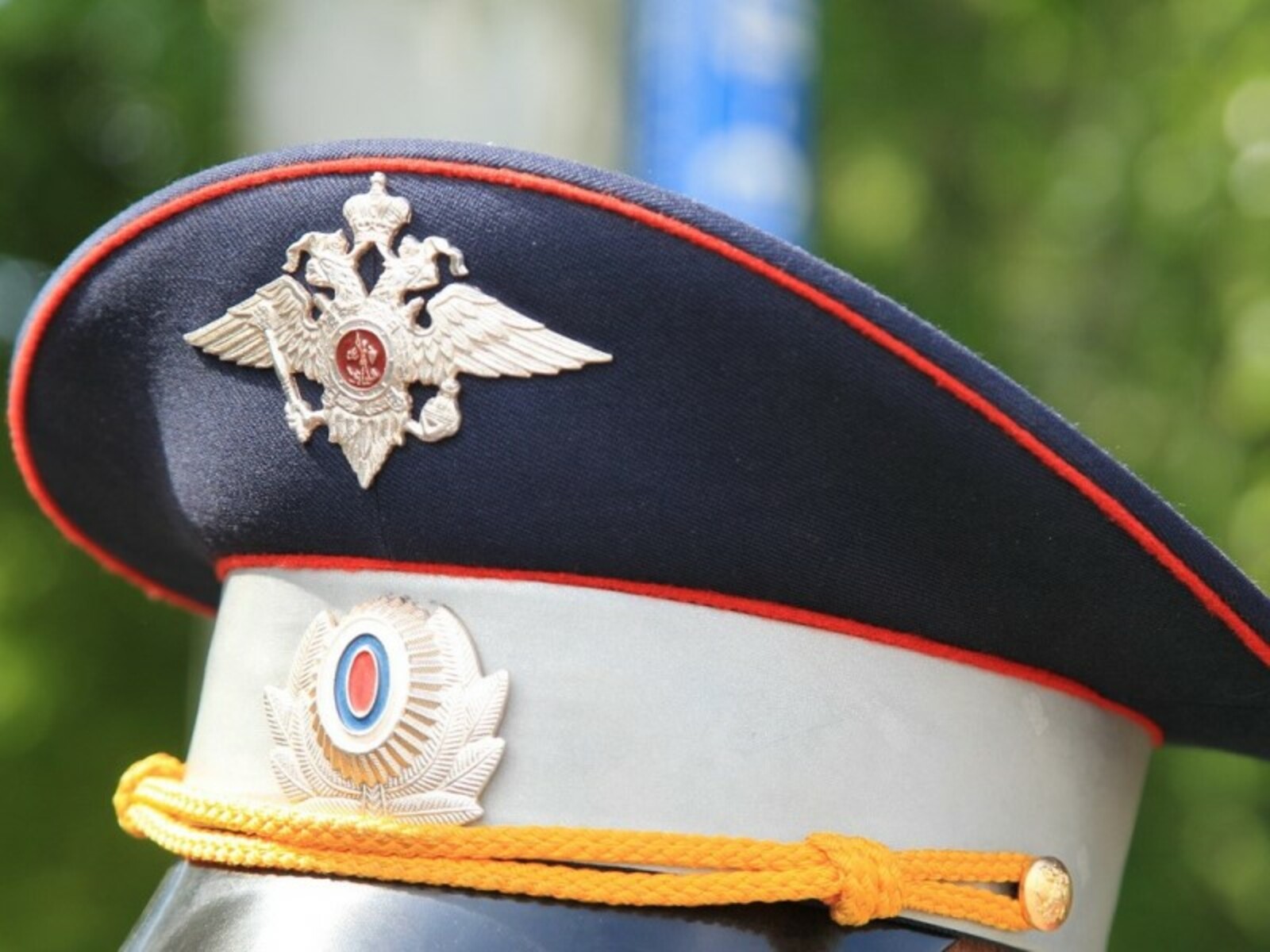 Фото Олега Яровикова.