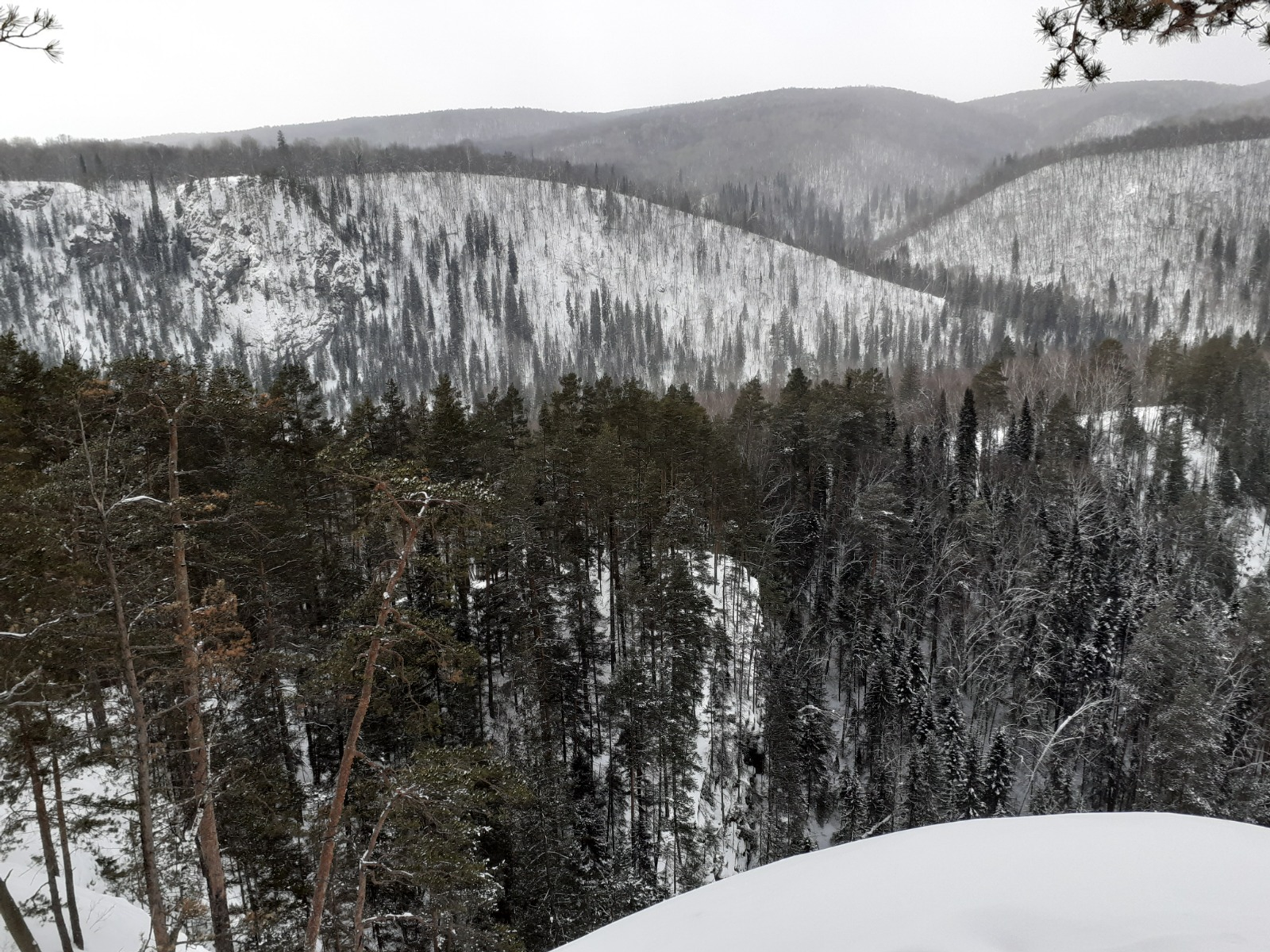 Владимира Шакиева.