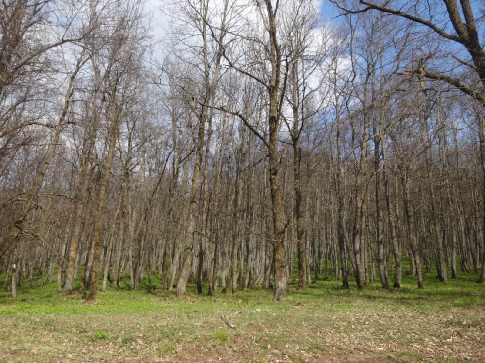 Фото Елены Колоколовой.