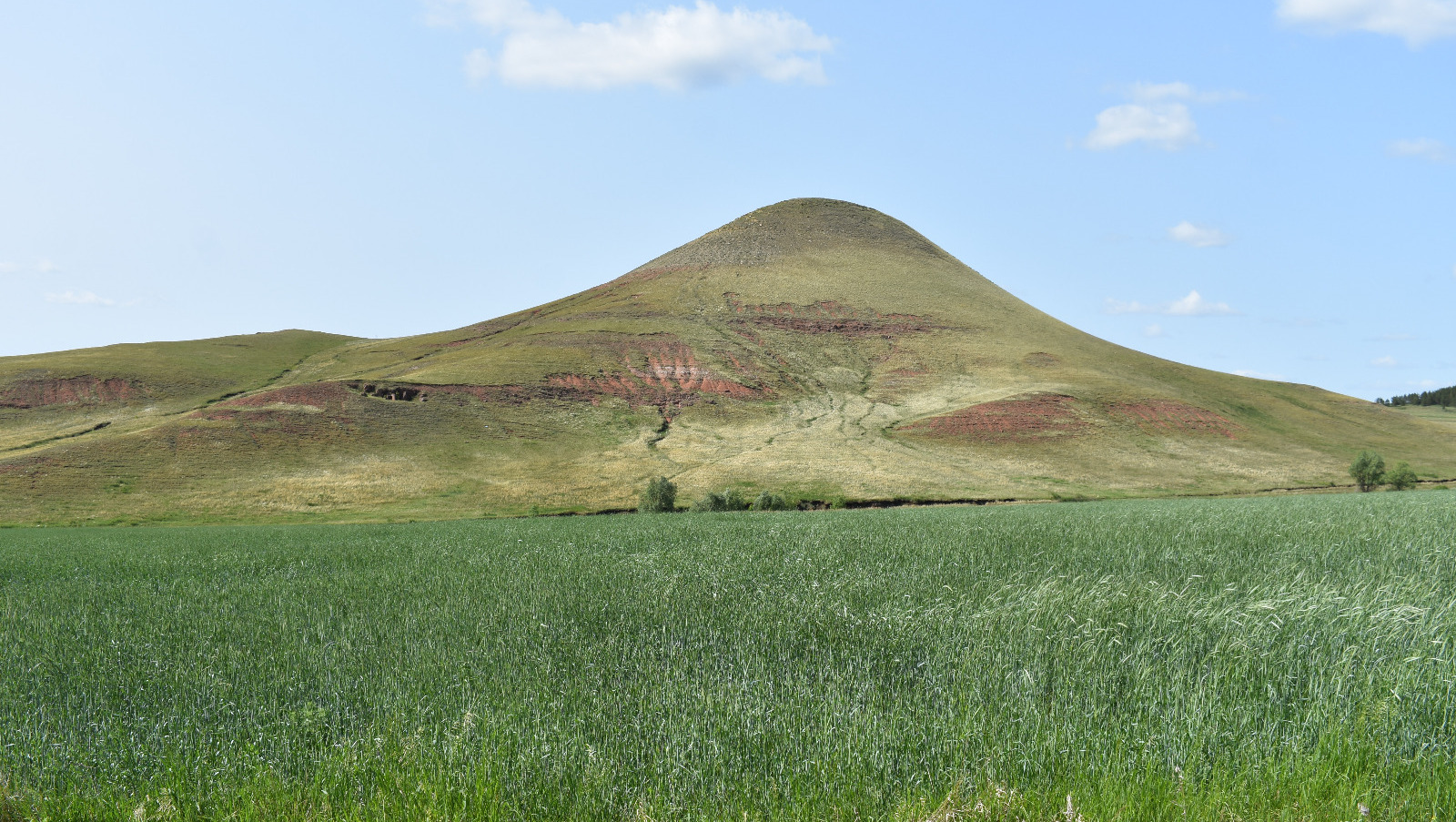 Елены Колоколовой.
