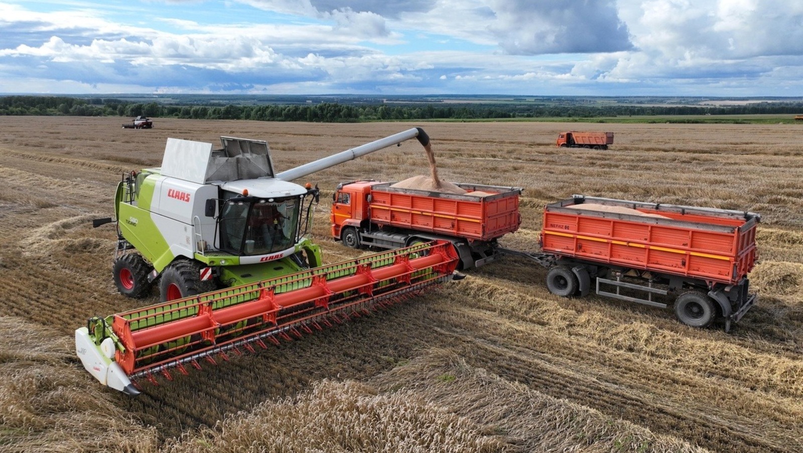 Vk, личная страница Радия Хабирова.