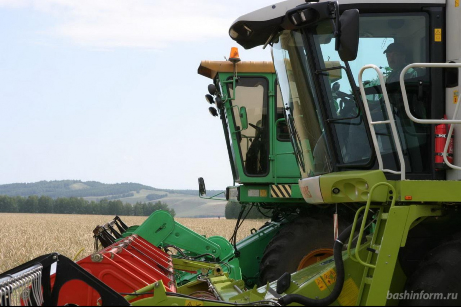 Фото Олега Яровикова.