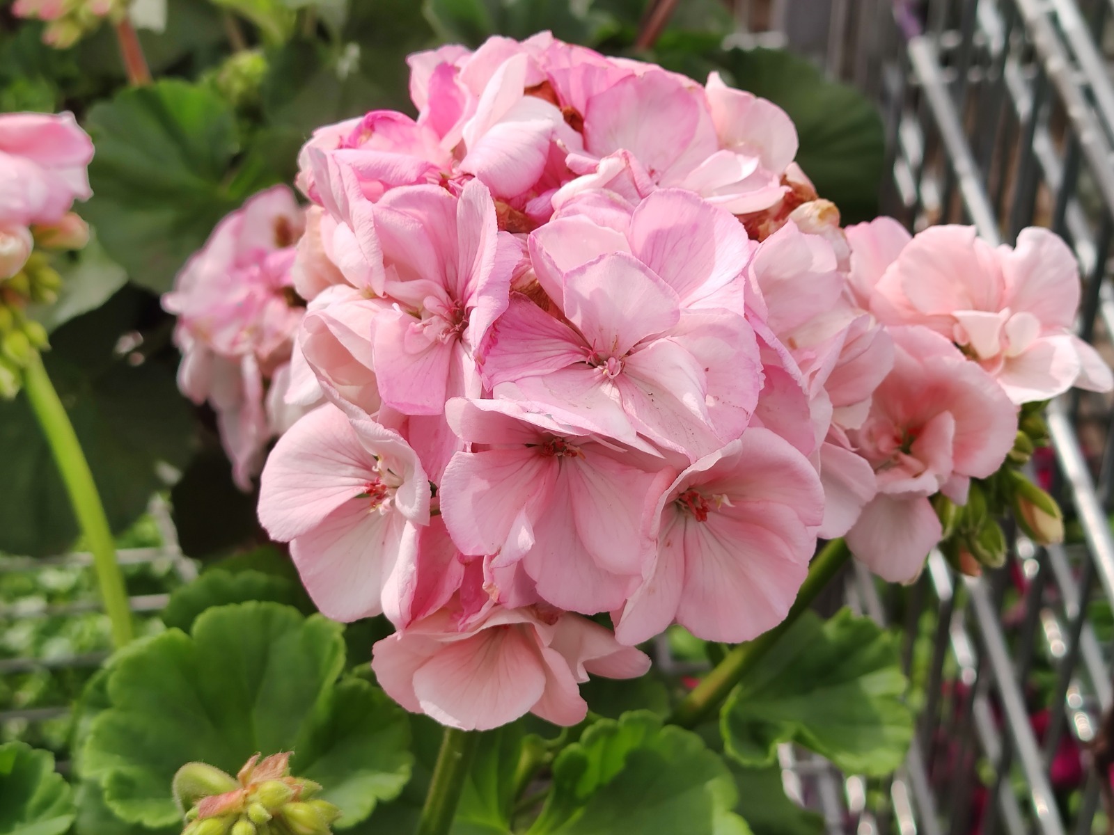 Дарьи Святохиной.