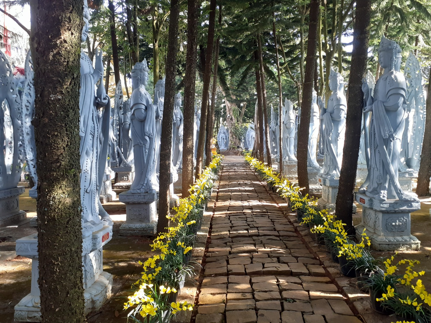 Владимира Шакиева. «Общественная электронная газета».