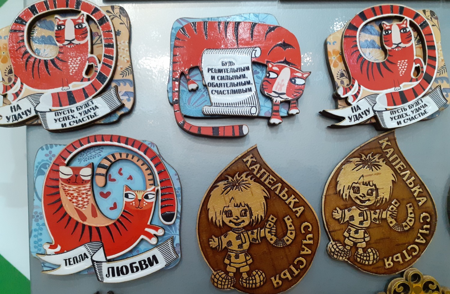 Владимира Шакиева.