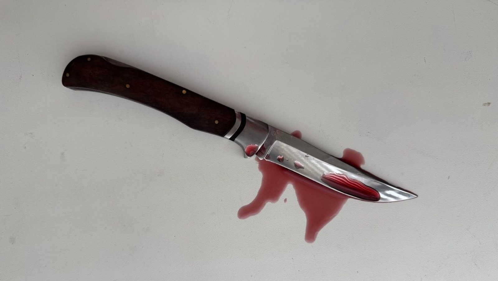 Елены Колоколовой.  «Общественная электронная газета».