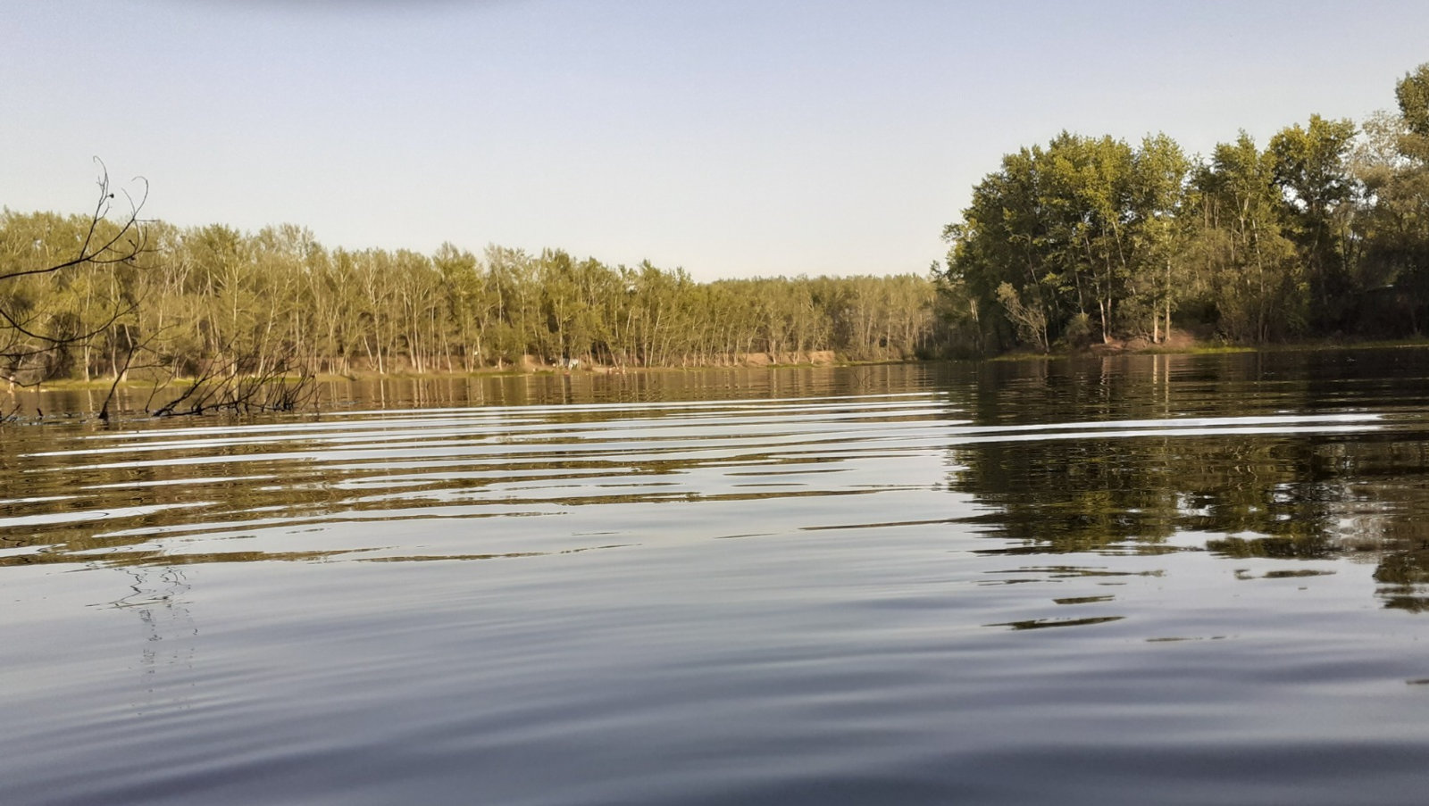 Владимира Шакиева.