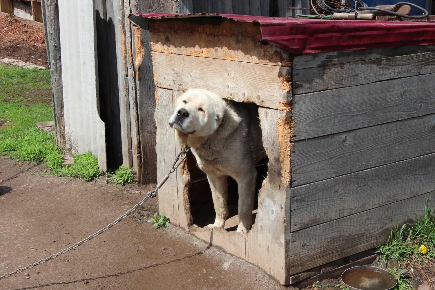 Евгении Сюткиной.