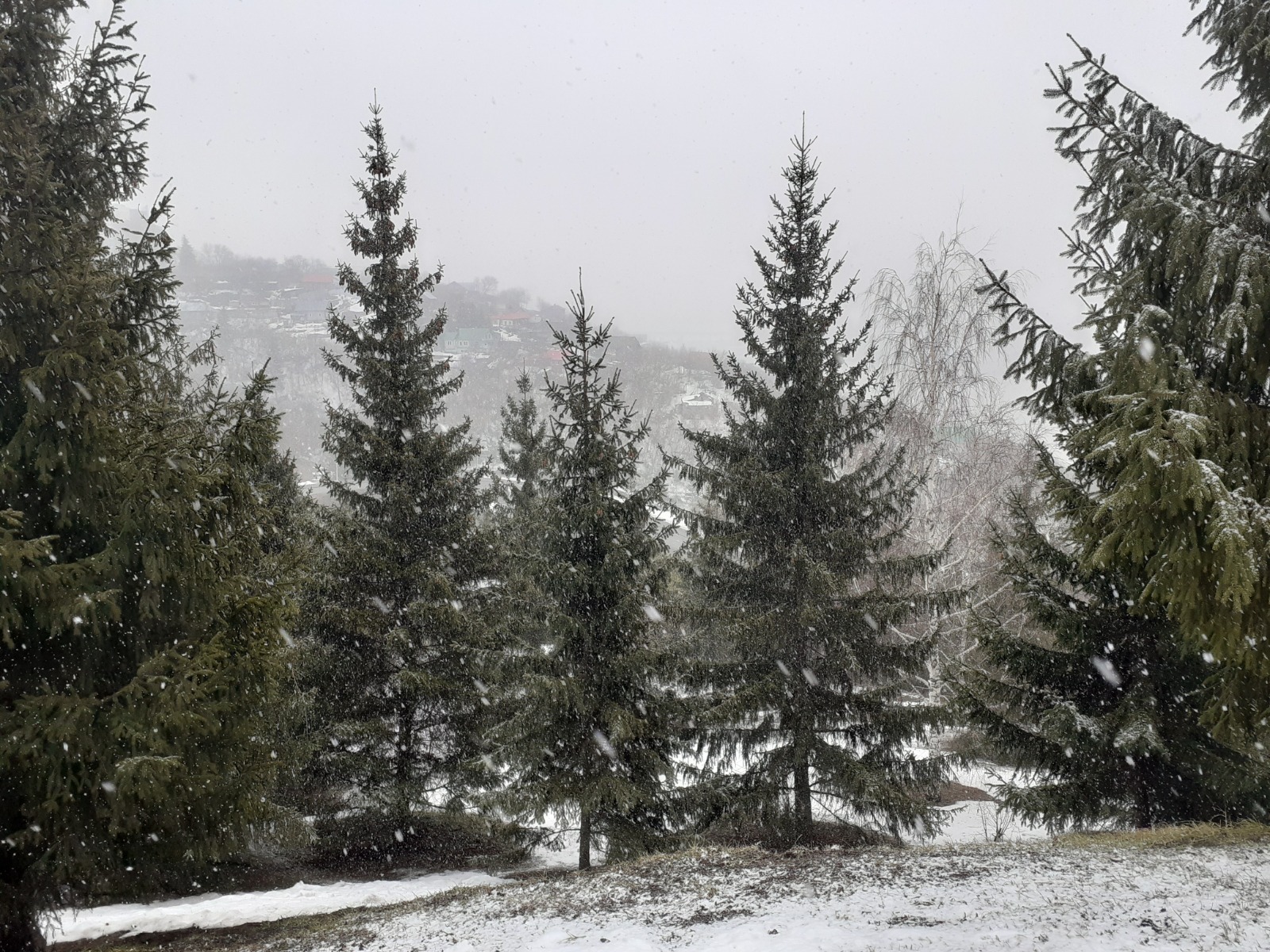 Владимира Шакиева.