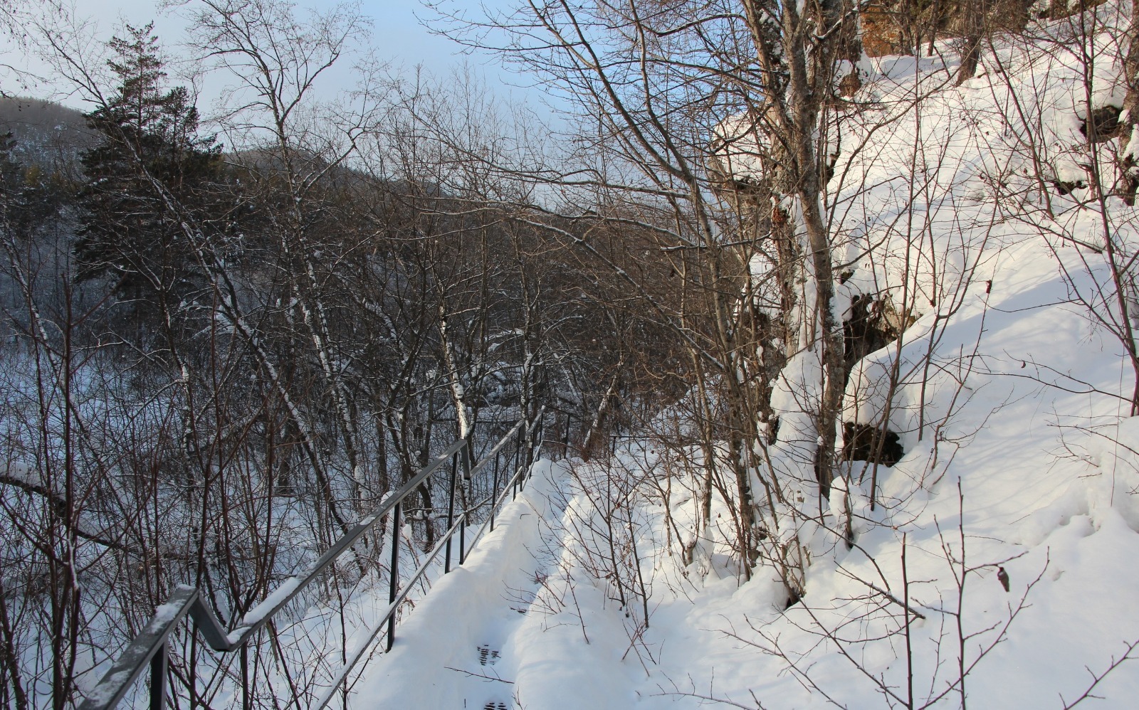 Евгении Сюткиной. «Общественная электронная газета».