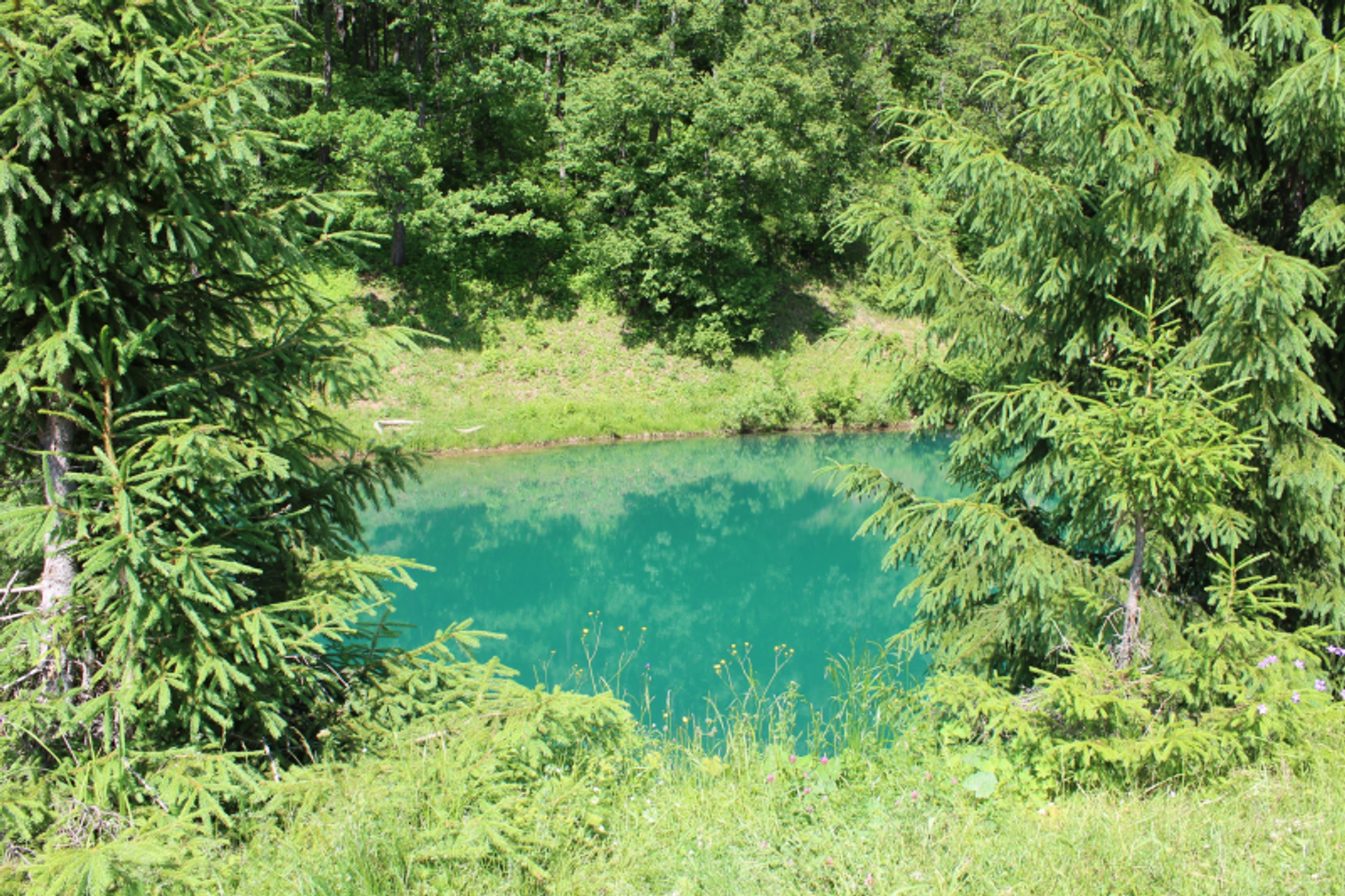 Фото автора.