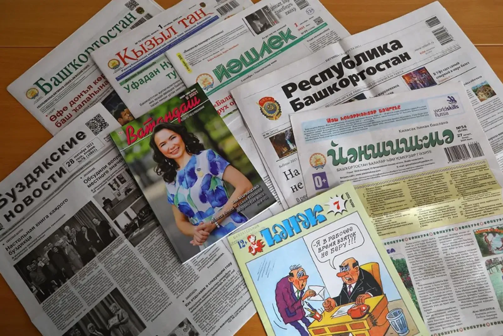 Валерия Шахова. «Общественная электронная газета».