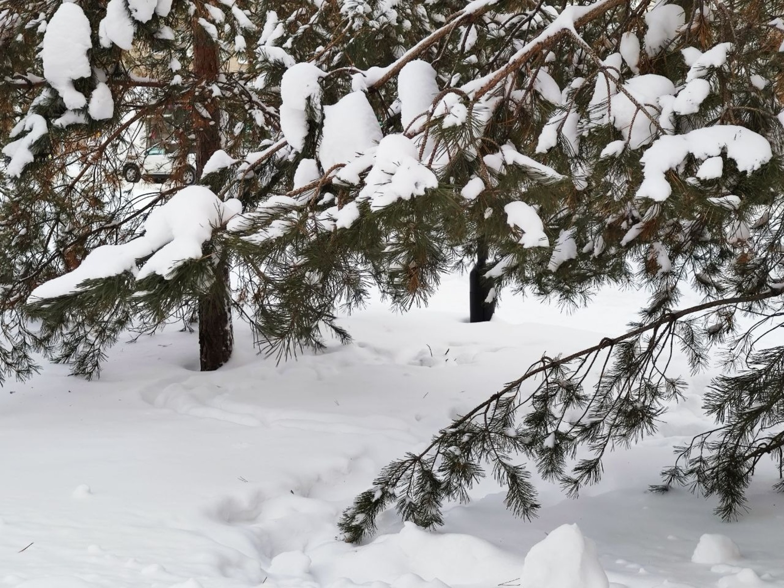 Дарьи Святохиной.