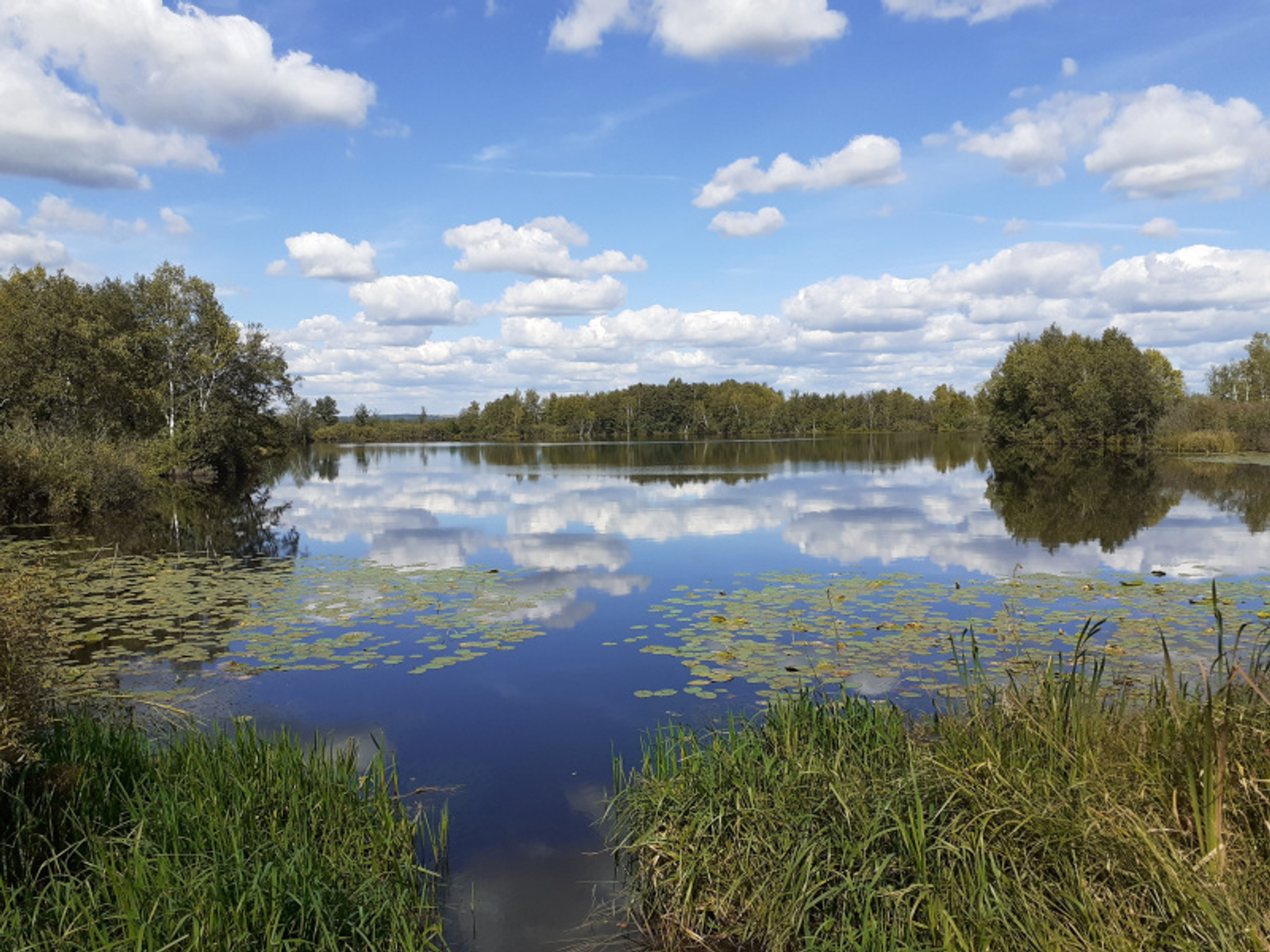 Фото автора.