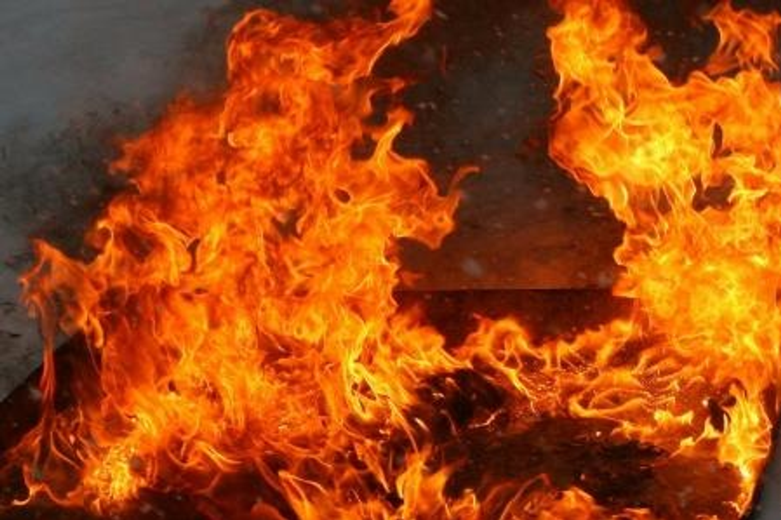 Андрей Старостин.